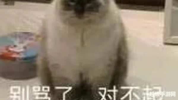 剑网3扶摇任务