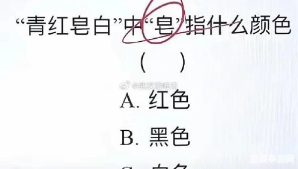 常用语不分青红皂白中皂是指