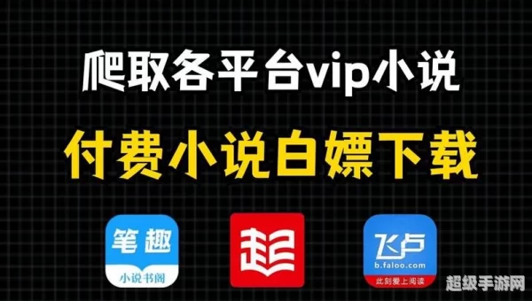 VIP小说