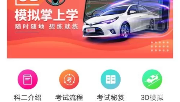 学车视频下载