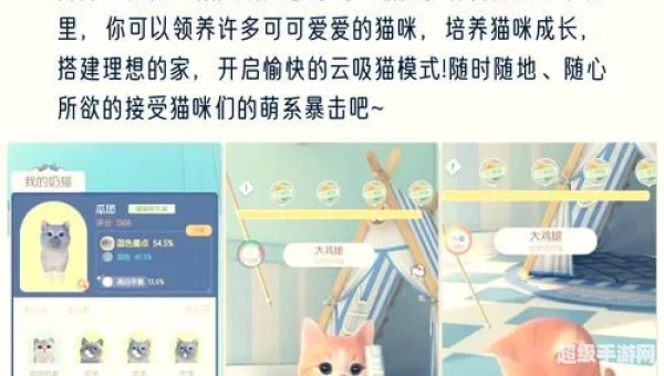 宠物小游戏