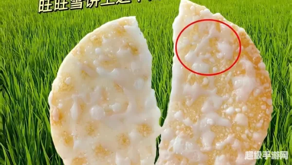 雪饼上白色的雪