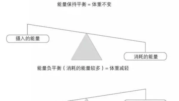能量的平衡任务线