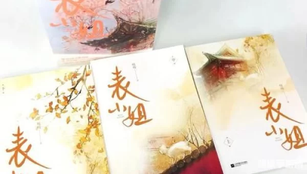 淑女攻略