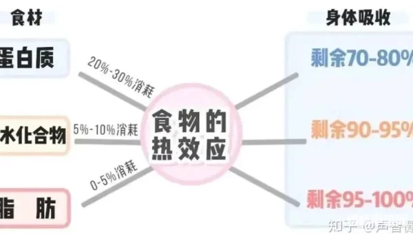 能量的平衡