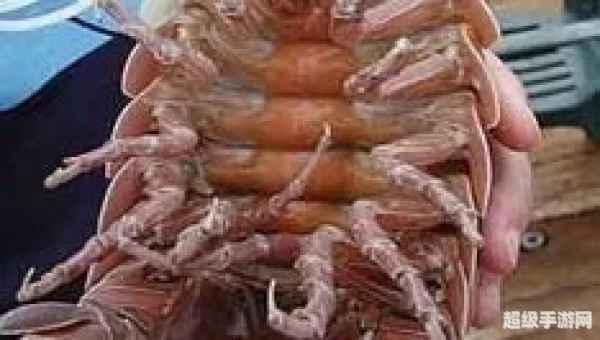 深海巨腹鱼群