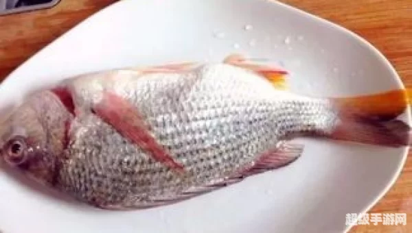 虎皮丝足鱼